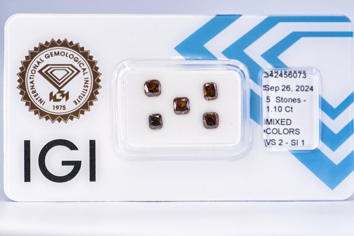 Ingen mindstepris - 5 pcs Diamant  (Naturfarvet)  - 1.10 ct - Pude - Fancy dark, Fancy deep Brun Gul - SI1, VS2 - International Gemological Institute (IGI)