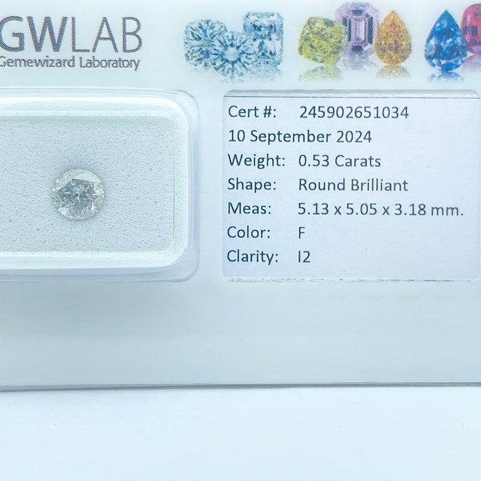 Ingen mindstepris - 1 pcs Diamant  (Natur)  - 053 ct - Rund - F - I2 - Gemewizard Gemological Laboratory (GWLab)