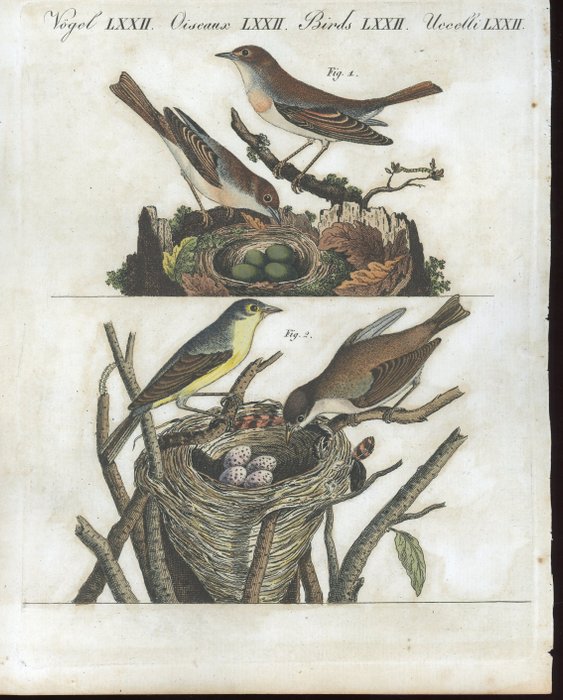 Friedrich Justin Bertuch - 4 hand-coloured copperplate engravings “Bilderbuch zum Nutzen " - 1815