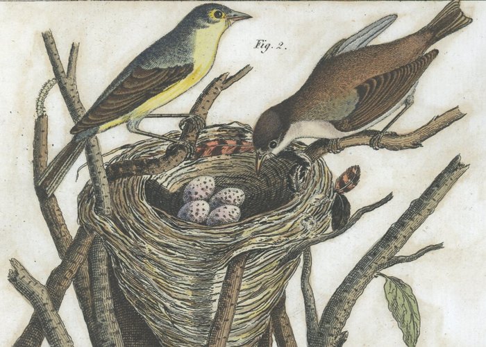 Friedrich Justin Bertuch - 4 hand-coloured copperplate engravings “Bilderbuch zum Nutzen " - 1815