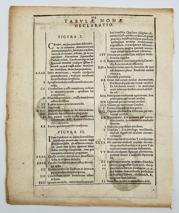 Adriaan van den Spiegel (1578-1625) and Giulio Casseri (1552–1616) - De humani corporis fabrica liber decem - Human Anatomy