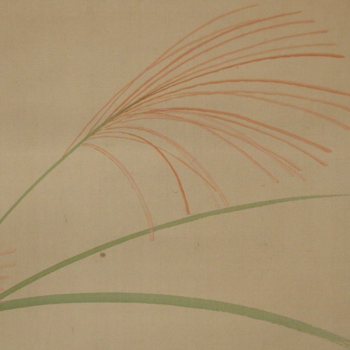 Hanging Scroll (Kakejiku) - Autumn Grass - Signed Shuho 秀帆 - Japan  (Ingen mindstepris)