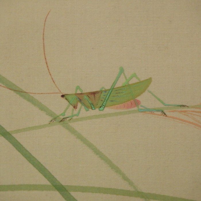 Hanging Scroll (Kakejiku) - Autumn Grass - Signed Shuho 秀帆 - Japan  (Ingen mindstepris)