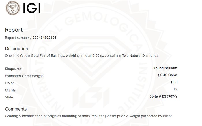 Øreringe - 14 karat Gulguld -  0.40ct. tw. Diamant (Natur) - Diamant stud