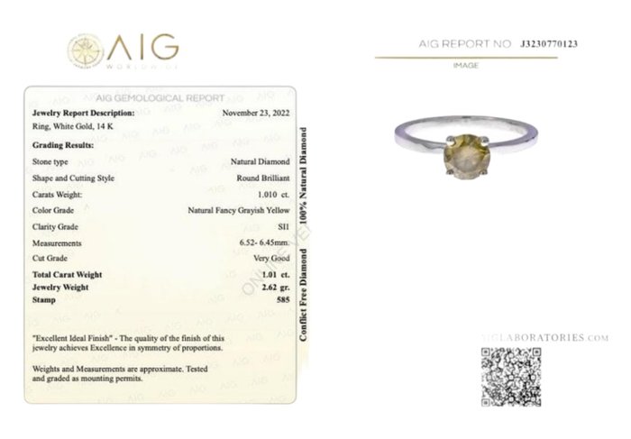 Ring - 14 karat Hvidguld -  101ct tw Diamant - diamantring