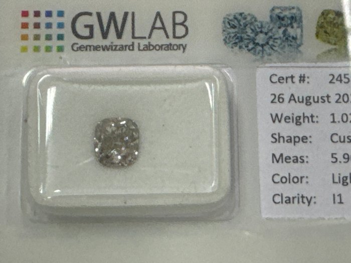 Ingen mindstepris - 1 pcs Diamant  (Naturfarvet)  - 102 ct - Pude - Light Grå - I1 - Gemewizard Gemological Laboratory (GWLab)