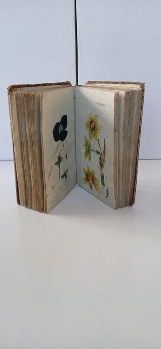 JJ Rousseau - Recueil de Plantes coloriées - 1802