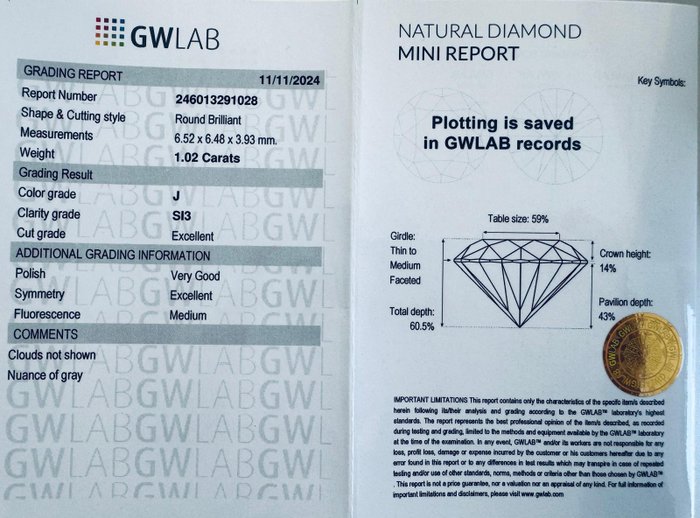 Ingen mindstepris - 1 pcs Diamant  (Natur)  - 1.02 ct - Rund - J - SI3 - Gemewizard Gemological Laboratory (GWLab)