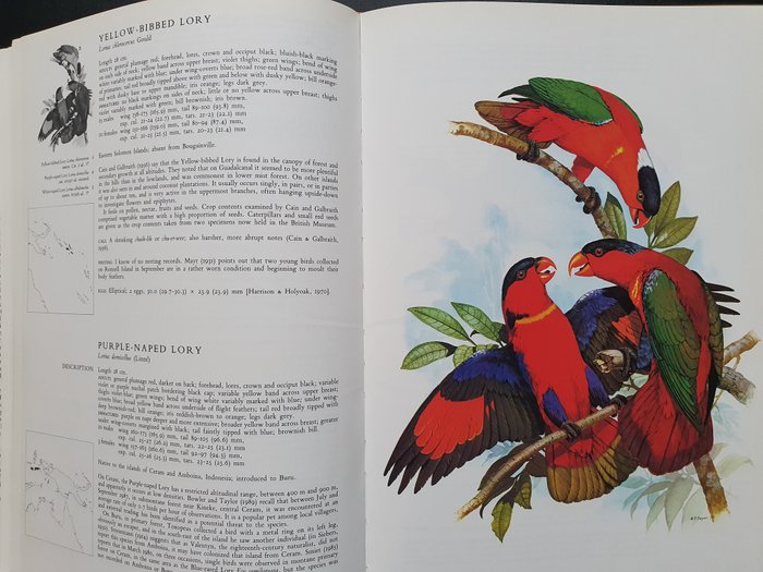 Joseph M. Forshaw / William T. Cooper - Parrots of the world - 1989