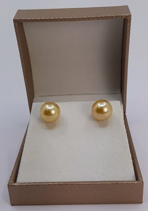 Øreringe - 14 karat Gulguld - 10x11mm South Sea Pearls