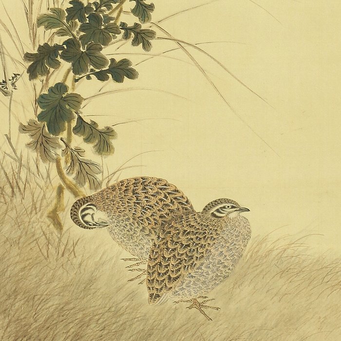 Chrysanthemum and Two Quail - with signature and seal 'Keinen' 景年 - Japan  (Ingen mindstepris)