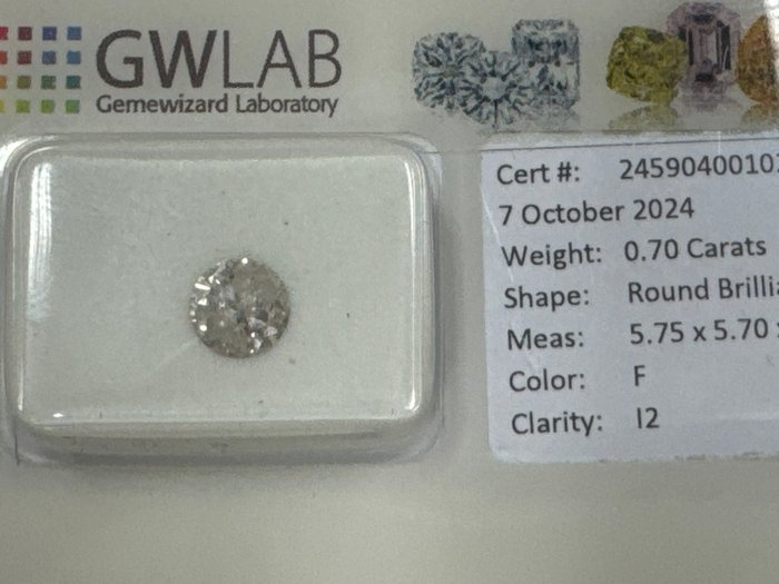 Ingen mindstepris - 1 pcs Diamant  (Natur)  - 0.70 ct - Rund - F - I2 - Gemewizard Gemological Laboratory (GWLab)