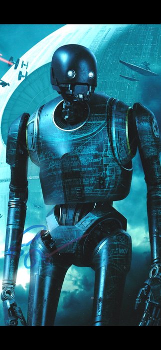 Star Wars: Rogue One - Signed by Alan Tudyk (K-2SO)