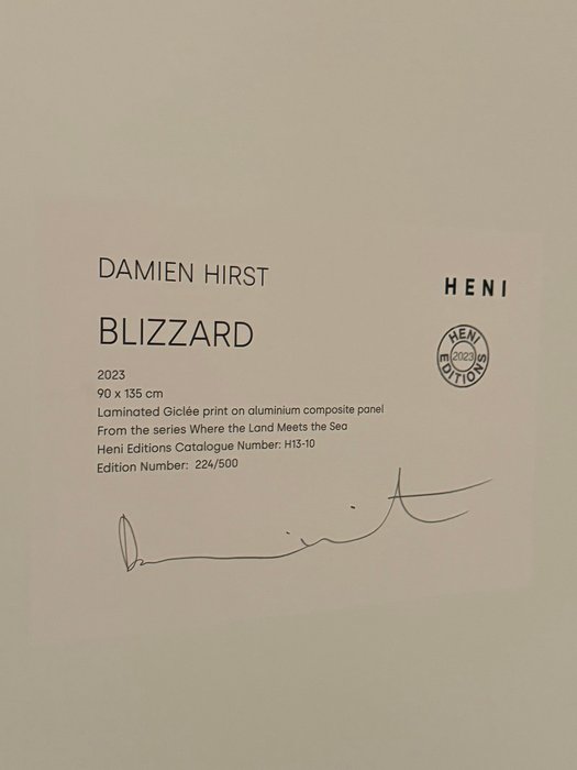 Damien Hirst (1965) - Blizzard