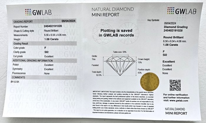 1 pcs Diamant  (Natur)  - 1.08 ct - Rund - F - SI2 - Gemewizard Gemological Laboratory (GWLab)