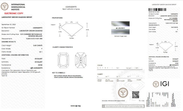 Ingen mindstepris - Ring - 18 kraat Hvidguld -  5.43ct. tw. Diamant (Laboratoriedyrket) - F VS1 IGI 5CT