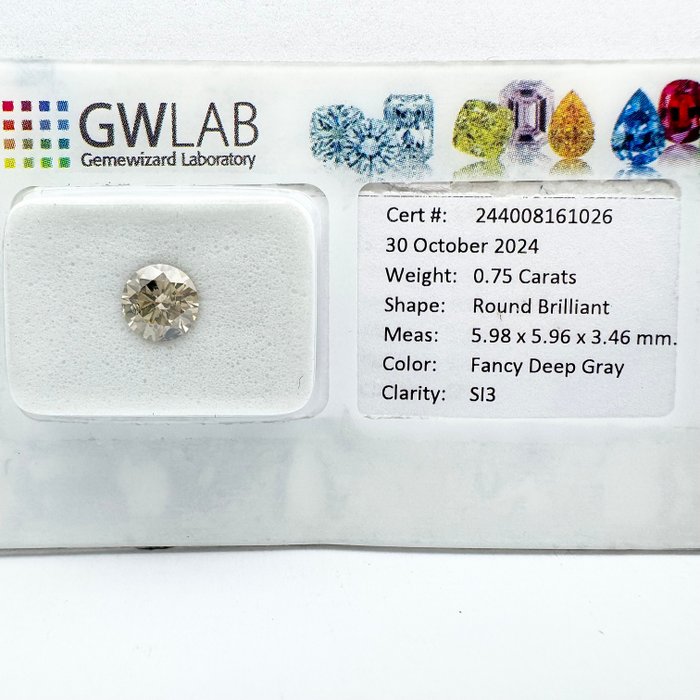 Ingen mindstepris - 1 pcs Diamant  (Naturfarvet)  - 0.50 ct - Rund - Fancy deep Grå - VS1 - Gemewizard Gemological Laboratory (GWLab)