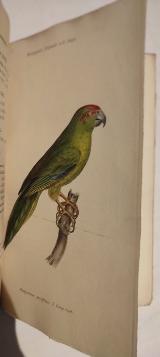 W.Phillips - The Zoological Journal - 1824-1830