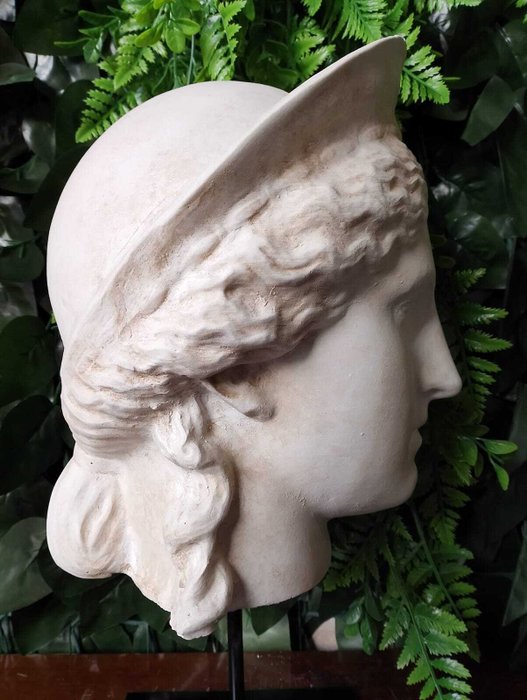 Skulptur, Testa di Era Ludovisi - 37 cm - marmorstøv