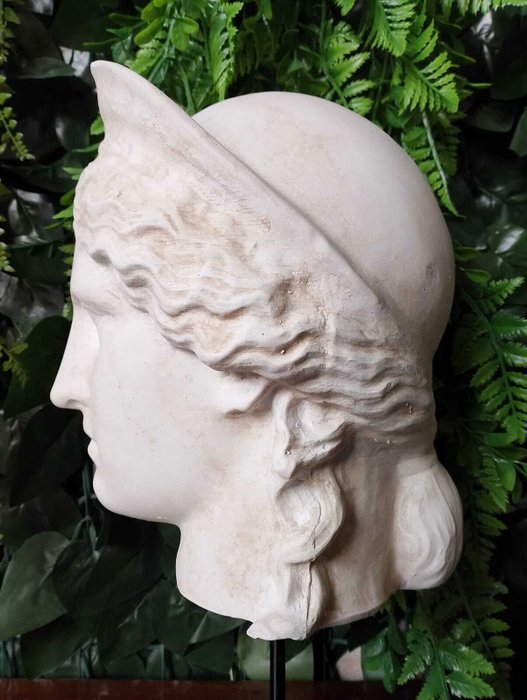 Skulptur, Testa di Era Ludovisi - 37 cm - marmorstøv