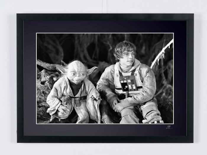 Star Wars Episode V: The Empire Strikes Back - Mark Hamill as "Luke Skywalker »  « Yoda Master » - Fine Art Photography - Luxury Wooden Framed 70X50 cm - Limited Edition Nr 03 of 30 - Serial ID - Original Certificate (COA), Hologram Logo Editor and QR Code - 100% New items.