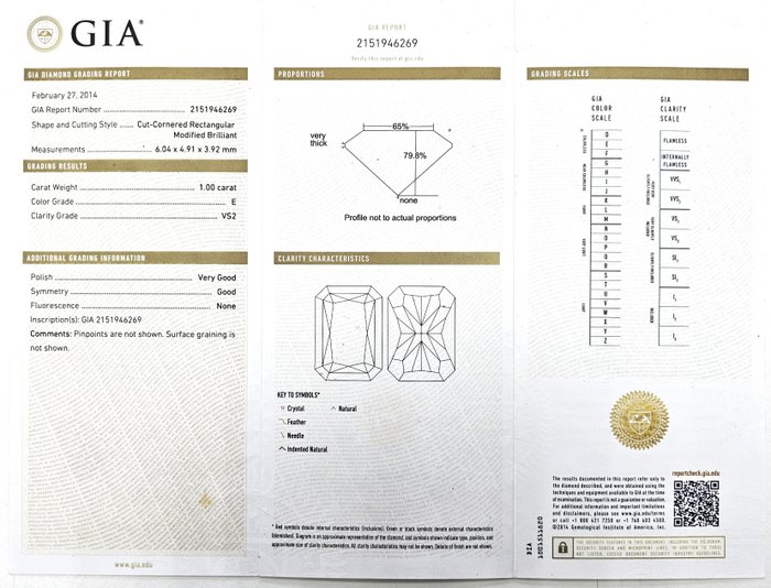 1 pcs Diamant  (Natur)  - 1.00 ct - Radiant - E - VS2 - Gemological Institute of America (GIA)