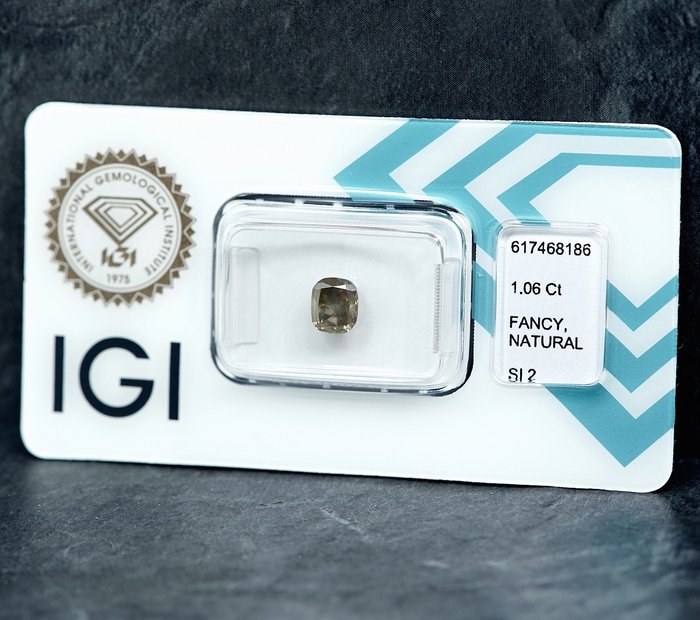 1 pcs Diamant  (Naturfarvet)  - 1.06 ct - Fancy Grålig Gul - SI2 - International Gemological Institute (IGI)