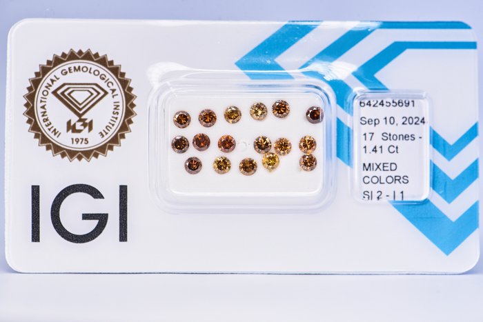 Ingen mindstepris - 17 pcs Diamant  (Naturfarvet)  - 1.41 ct - Rund - Fancy deep Brun Gul, Orange - I1, SI2 - International Gemological Institute (IGI)