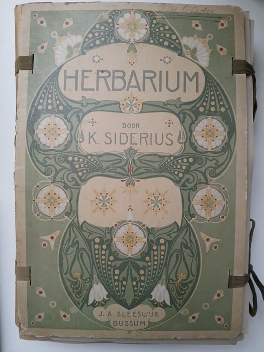 K. Siderius - K. Siderius - Herbarium - 1915