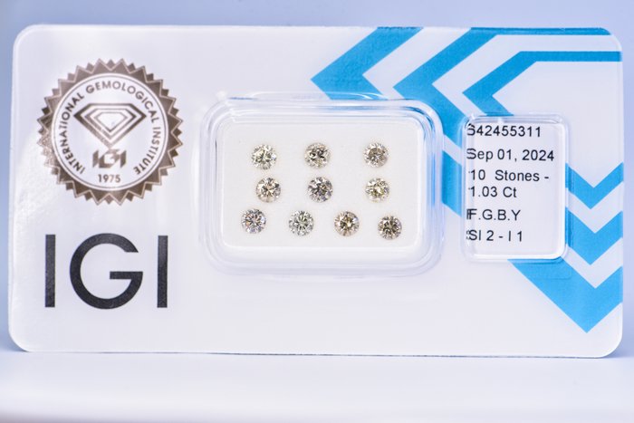 Ingen mindstepris - 10 pcs Diamant  (Naturfarvet)  - 103 ct - Rund - Fancy Brunlig Grålig Gul - I1 SI2 - International Gemological Institute (IGI)