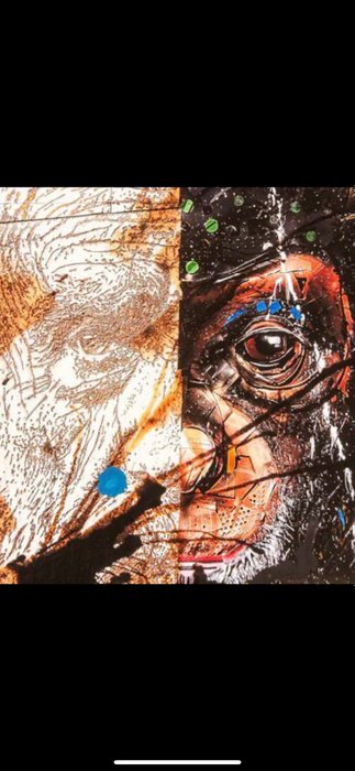 Bordalo II (1987)  VHILS (1987) - Origin