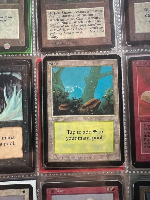 Wizards of The Coast - 2 Card - Magic: The Gathering - Forest + Wamp - Mtg Alpha 1993 - RARE