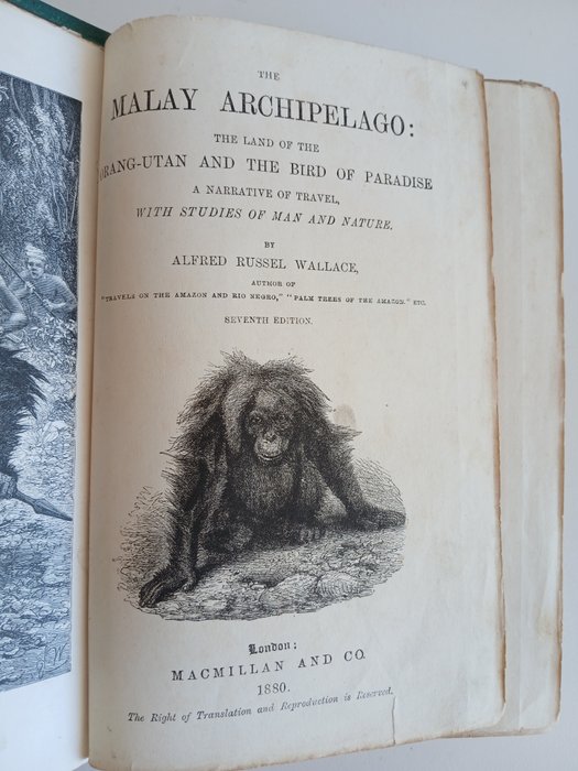 Alfred Russel Wallace - The Malay Archipelago - 1880