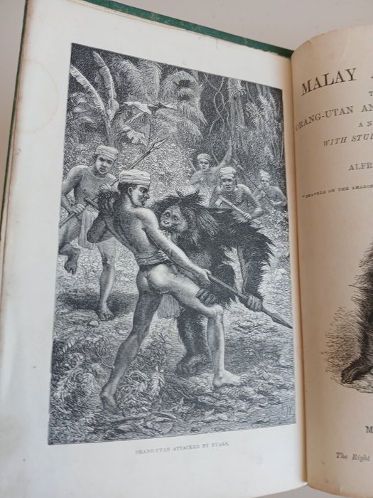 Alfred Russel Wallace - The Malay Archipelago - 1880