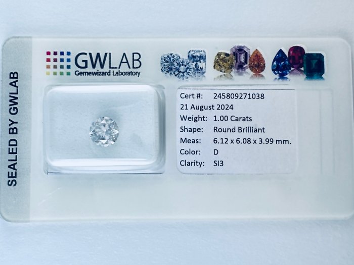 1 pcs Diamant  (Natur)  - 100 ct - Rund - D (farveløs) - SI3 - Gemewizard Gemological Laboratory (GWLab)