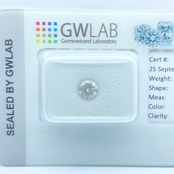 Ingen mindstepris - 1 pcs Diamant  (Natur)  - 0.49 ct - Rund - E - I1 - Gemewizard Gemological Laboratory (GWLab)