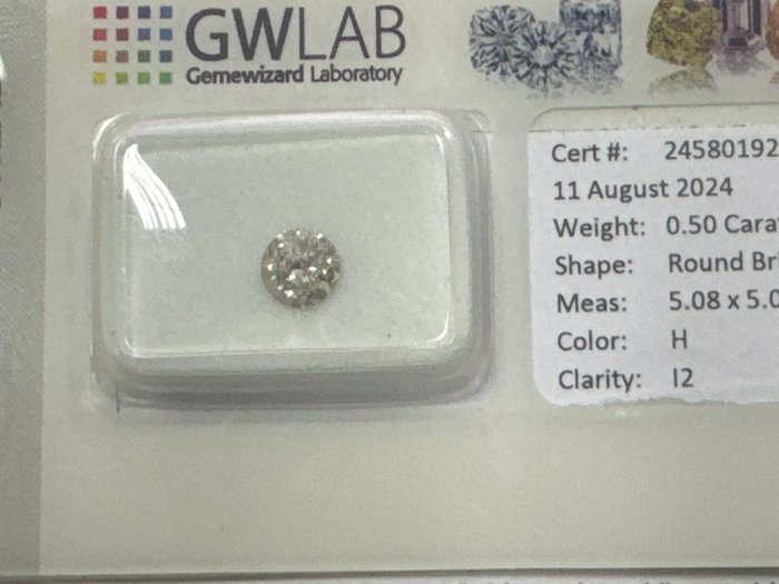 Ingen mindstepris - 1 pcs Diamant  (Natur)  - 0.50 ct - Rund - H - I2 - Gemewizard Gemological Laboratory (GWLab)