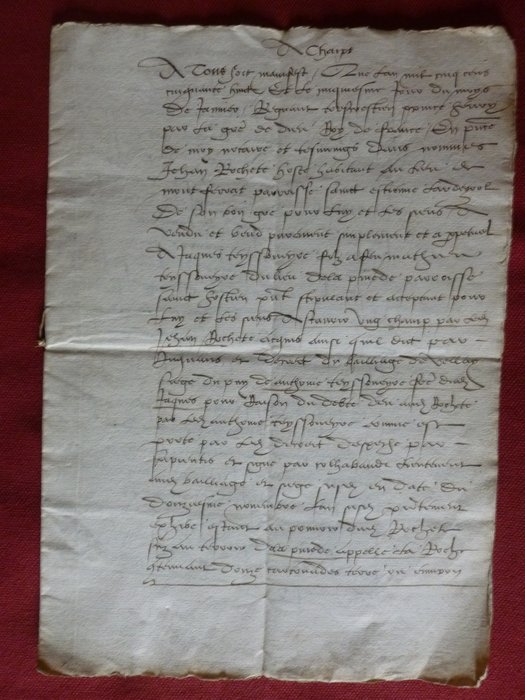 Document historique - Parchemin sur velin daté de 1568 - 1568