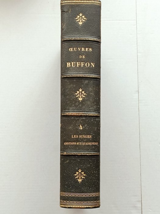 Buffon - Œuvres complètes de Buffon, Les Singes et Additions aux Quadrupèdes - 1850