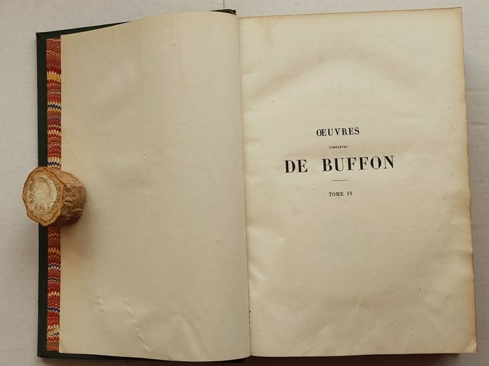 Buffon - Œuvres complètes de Buffon, Les Singes et Additions aux Quadrupèdes - 1850