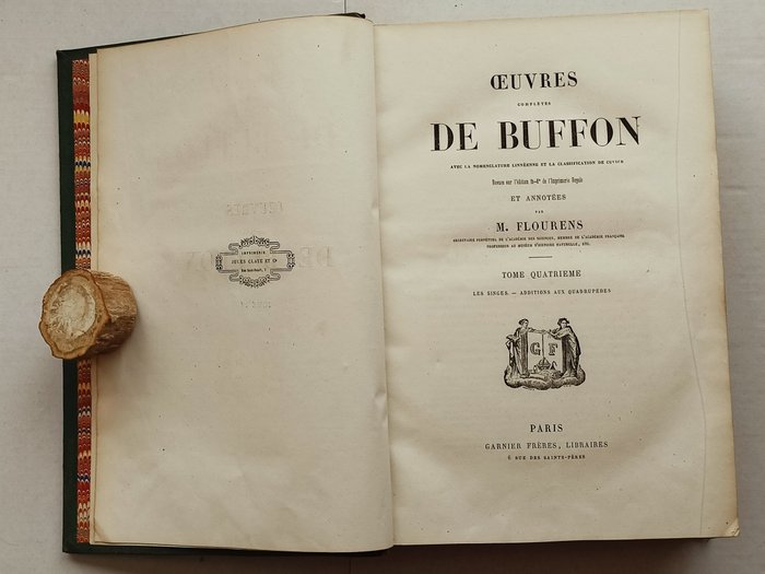 Buffon - Œuvres complètes de Buffon, Les Singes et Additions aux Quadrupèdes - 1850