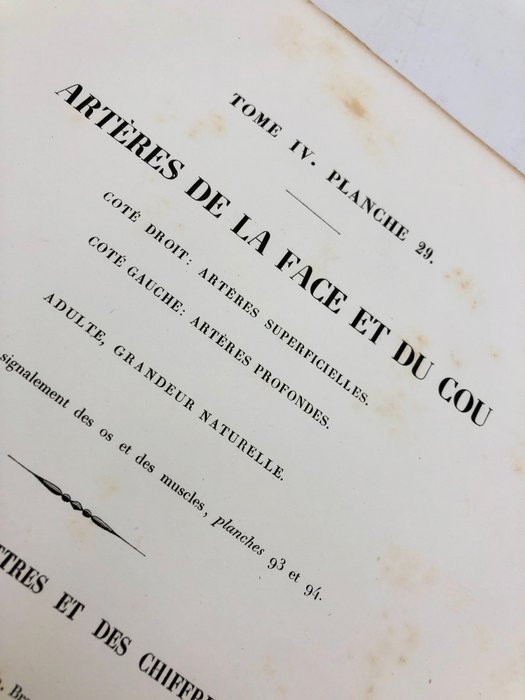 Undervisningsmaterialer - Nicolas-Henri Jacob  Jean Baptiste Marc Bourgery - traité d'anatomie de l'homme 1881 - Papir - 1850-1900