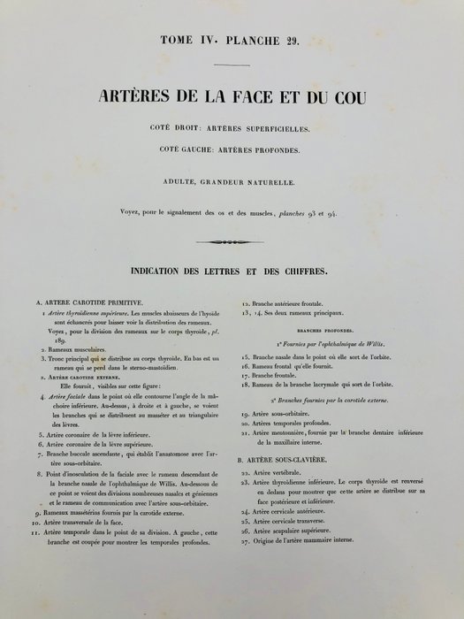 Undervisningsmaterialer - Nicolas-Henri Jacob  Jean Baptiste Marc Bourgery - traité d'anatomie de l'homme 1881 - Papir - 1850-1900