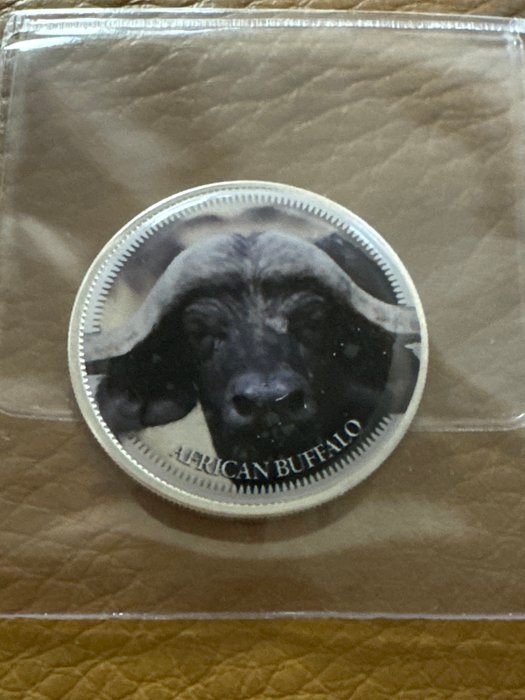 Sydafrika. 1 Rand 2023  "African Buffalo", 1 Oz (.999) mit Rahmen  (Ingen mindstepris)