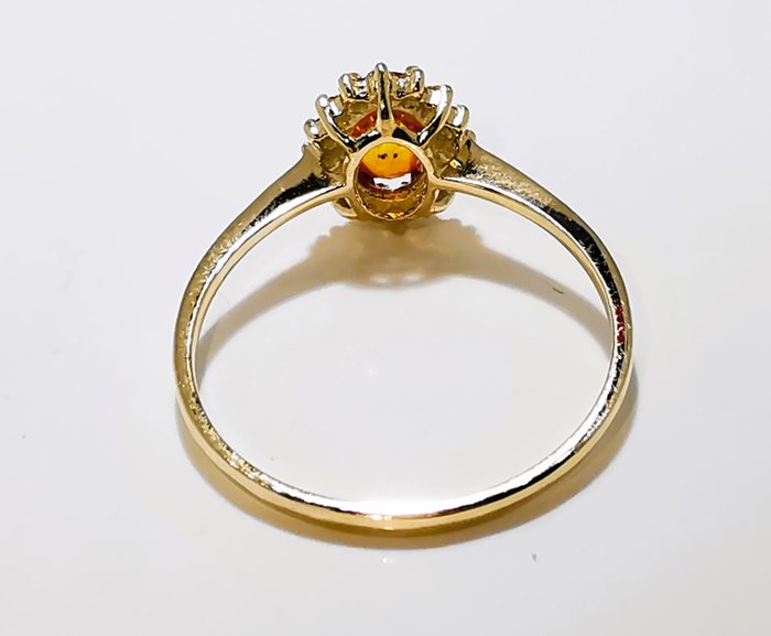 Ingen mindstepris - Ring - 14 karat Gulguld Safir