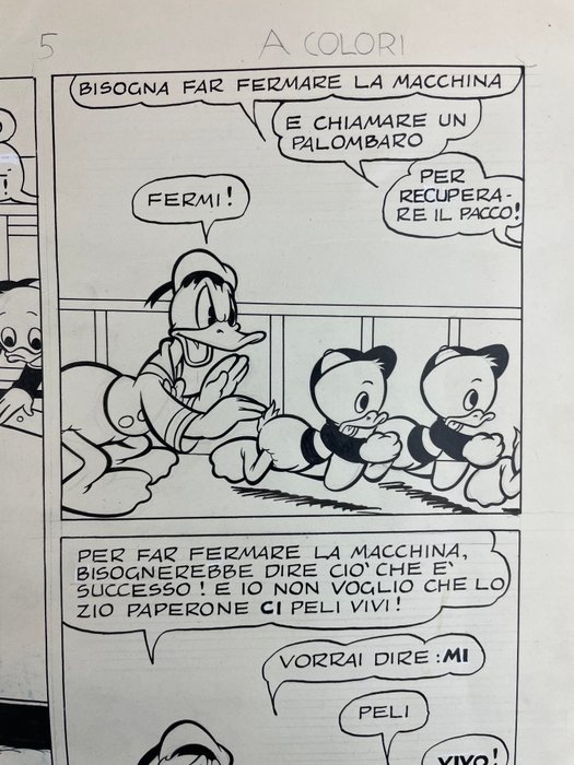 Carpi, Chierchini - 1 Original page - Donald Duck - "Paperino e il Muro del Riso " - 1954