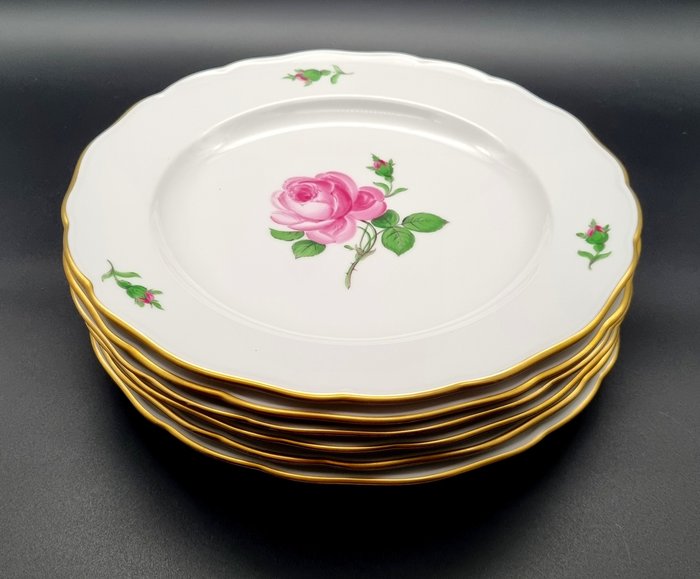 Meissen - Bordservice - Rød rose med guldkant 6 x middagstallerkener ca 255 cm - Porcelæn