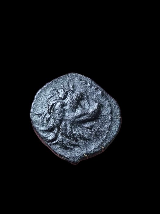 Seleukiderne. Antiochus VII Sidetes (138-129 BC). Æ Antioch mint/ Dated SE 182 (131/0 BC)  (Ingen mindstepris)