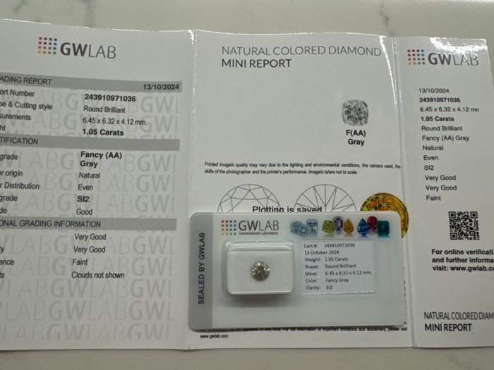 Ingen mindstepris - 1 pcs Diamant  (Naturfarvet)  - 1.05 ct - Rund - Fancy Grå - SI2 - Gemewizard Gemological Laboratory (GWLab)