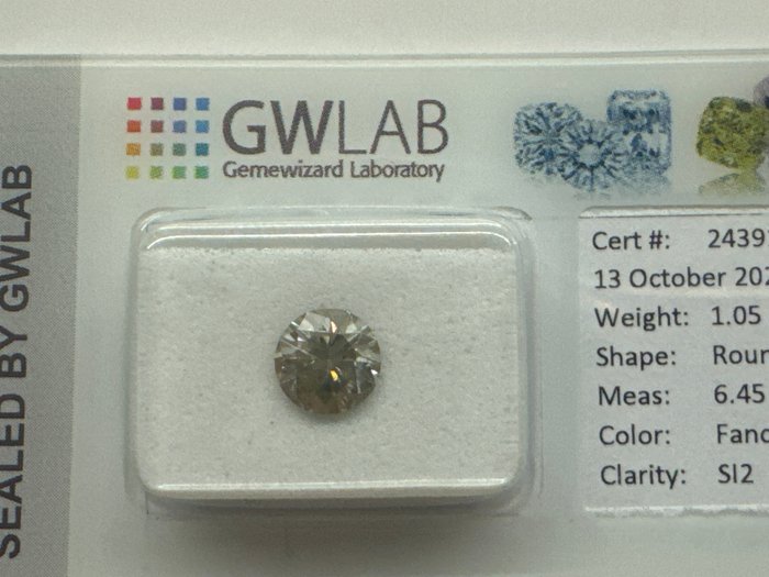 Ingen mindstepris - 1 pcs Diamant  (Naturfarvet)  - 1.05 ct - Rund - Fancy Grå - SI2 - Gemewizard Gemological Laboratory (GWLab)